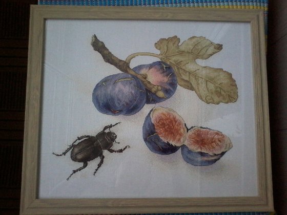 Работа «Инжир от Екатерины Волковой»