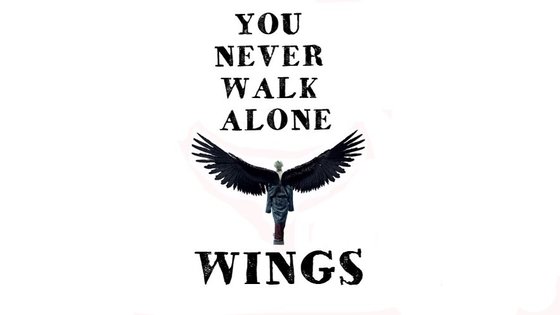 Работа «BTS WINGS»