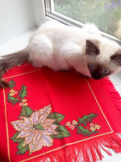 Работа «Сервировочная салфетка №2»