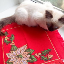 Работа «Сервировочная салфетка №2»