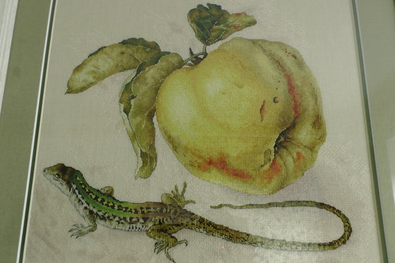 Работа «Айва Е.Волковой»