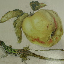 Работа «Айва Е.Волковой»