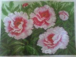 Работа «пионы»