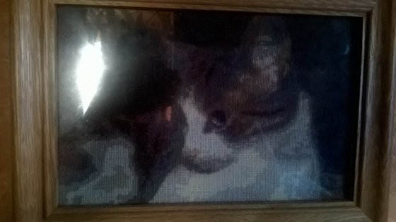 Работа «Кошка»