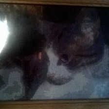 Работа «Кошка»