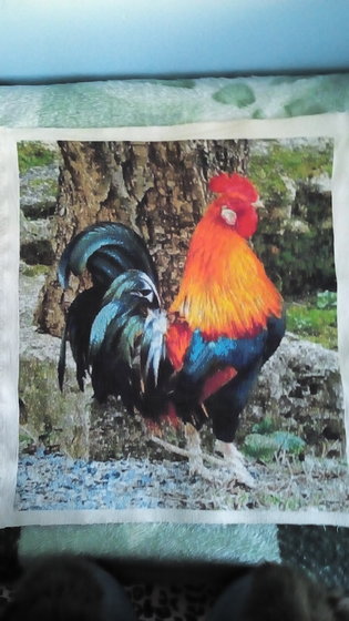 Работа «kogut»