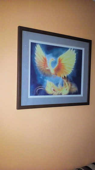 Работа «feniks»