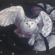 Работа «Белая сова (набор фирмы Panna)»