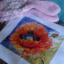 Работа «Очередной подарок для сестренки ! Алый мак !»