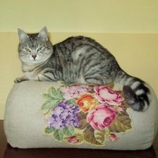 Работа «Няша»