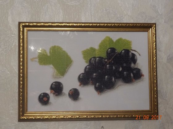 Работа «черная смородина схема авторская»