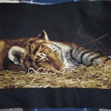 Работа «Набор PANNA "Тигрёнок"»