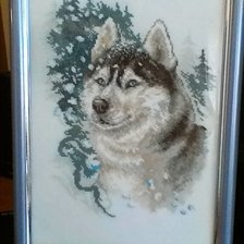 Работа «Хаски»