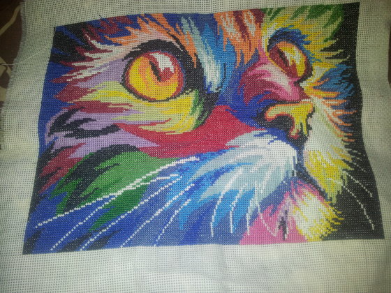 Работа «Радужный кот»