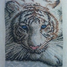 Работа «белый»