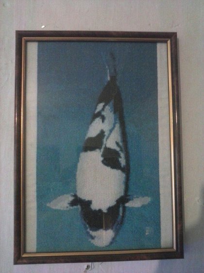 Работа «Моя первая работа) рыбка кои»