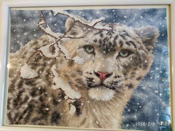 Работа «Снежный барс»