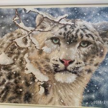 Работа «Снежный барс»