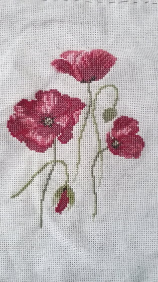 Работа «Маки»