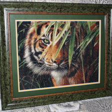Работа «Зеленоглазый тигр»