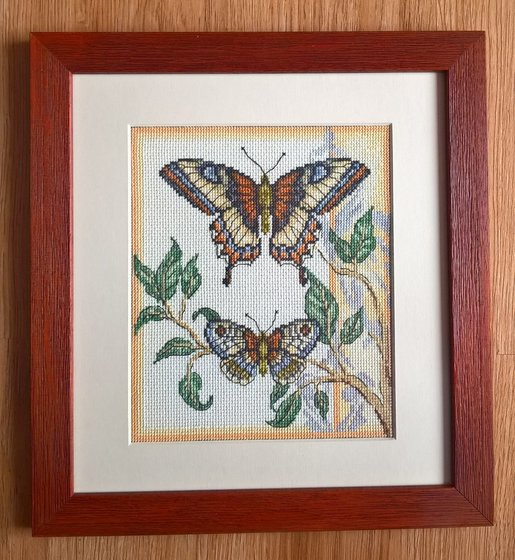 Работа «RTO - motýľ»