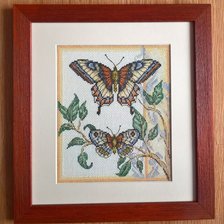 Работа «RTO - motýľ»