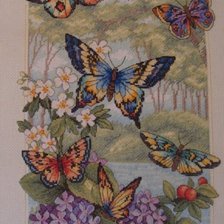 Работа «Лесные бабочки»