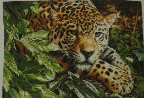 Работа «Леопард»