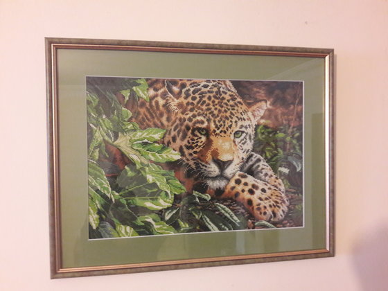 Работа «Leopard in repose»