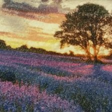 Работа «№69711»