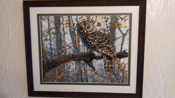 Работа «Moja mudraja sovushka.»