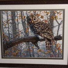 Работа «Moja mudraja sovushka.»