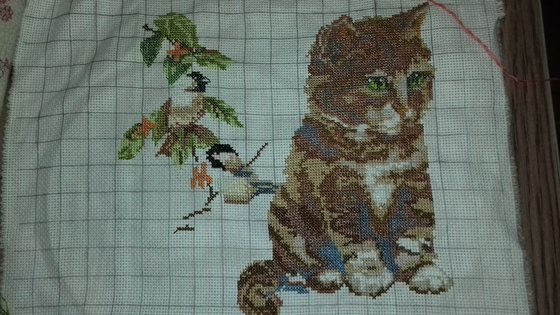 Работа «Котик.»