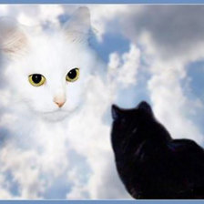 Работа «может кошечка, а может виденье»