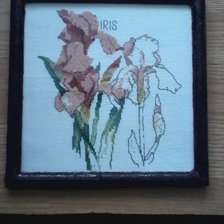 Работа «ирисы»