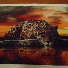 Работа «Леопардик»