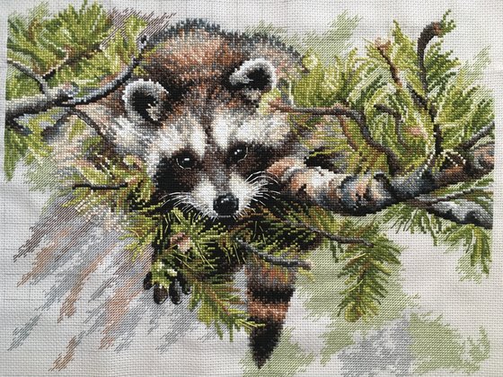 Работа «Енот»