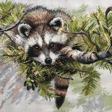 Работа «Енот»