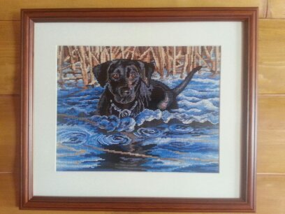 Работа «Лабрадор»