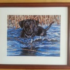 Работа «Лабрадор»