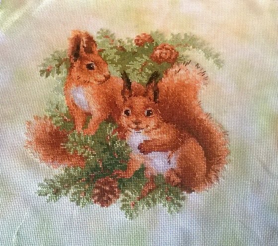 Работа «Белочки от РИОЛИС»