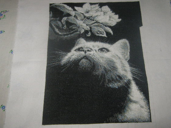 Работа «№70156»