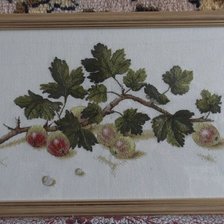 Работа «Крыжовник»