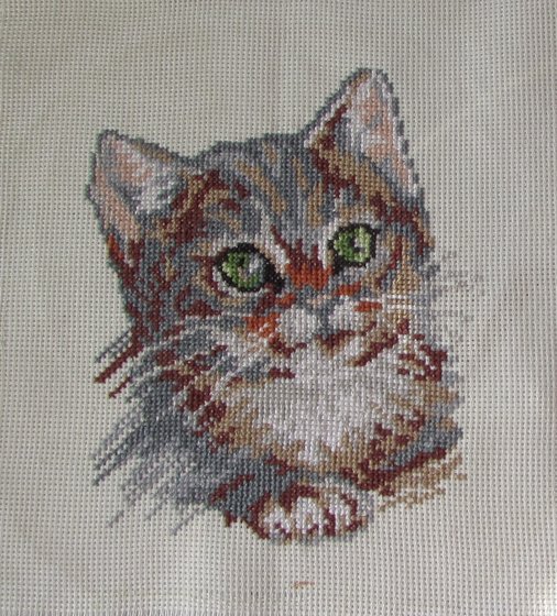 Работа «Котёнок»