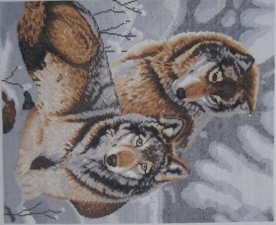 Работа «Пара волков»