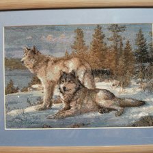 Работа «Волки»