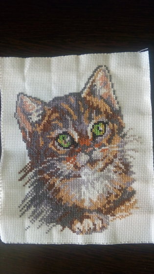 Работа «Котенок»