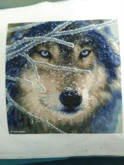 Работа «Волк»