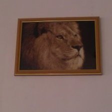 Работа «Лев»