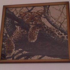 Работа «Леопард»